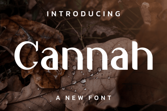 Cannah – A Modern Display Font for Web Design