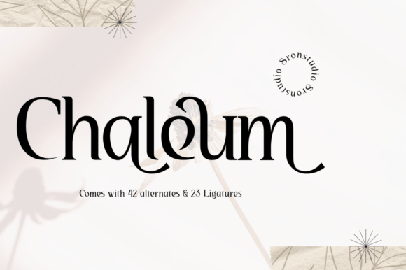 Chaleum: A Modern Display Font for Creative Branding
